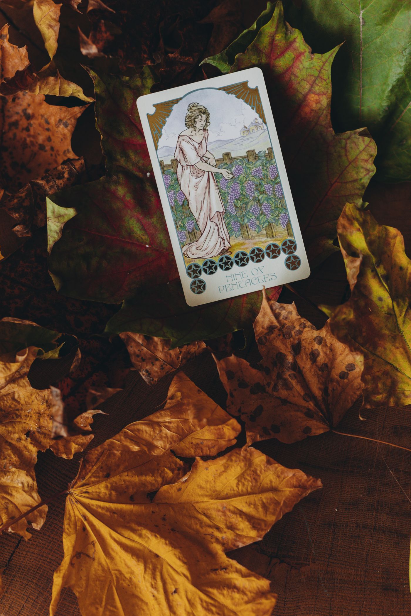 Tarot cards among autumn leaves